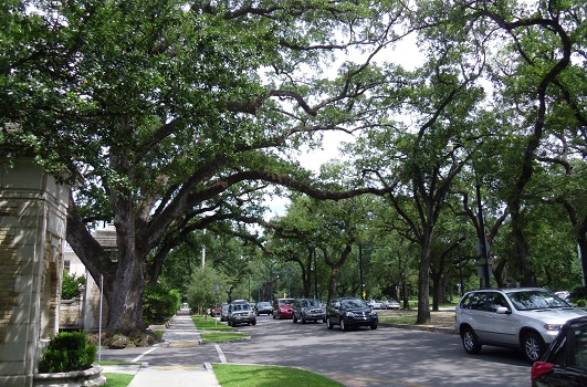wide residential street, New Orleans, showing both considerable traffic and high demand for on-street parking