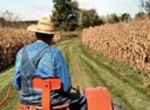 farmer on tractor in field