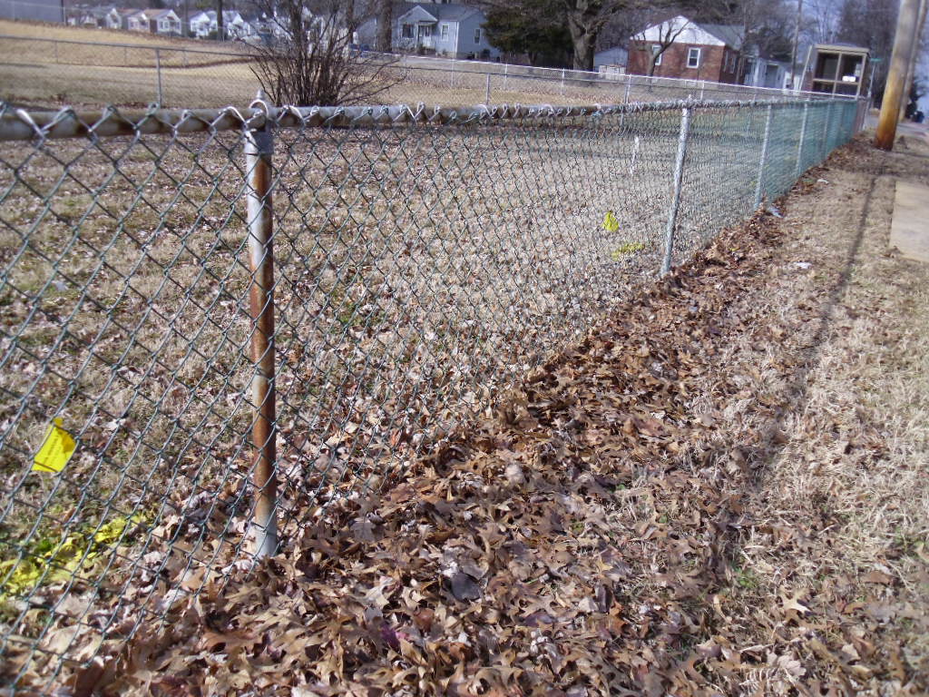 Ugly Chain Link Fence Can Ruin a Careful Landscape
