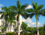 Florida hotel tourism